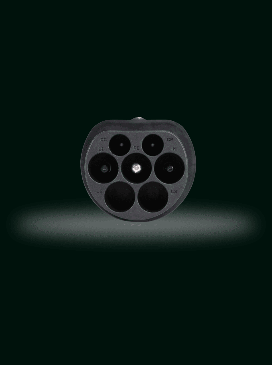 Type 2 - GBT - 4